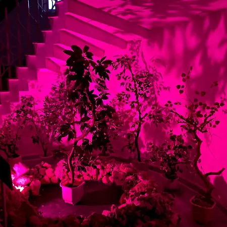 Fiesta Hotell Golden Sands